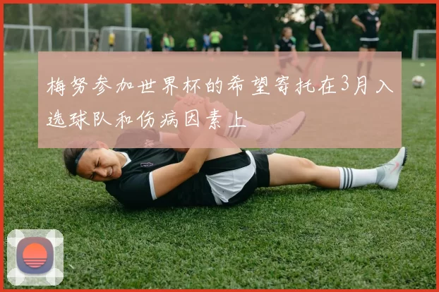 梅努参加世界杯的希望寄托在3月入选球队和伤病因素上