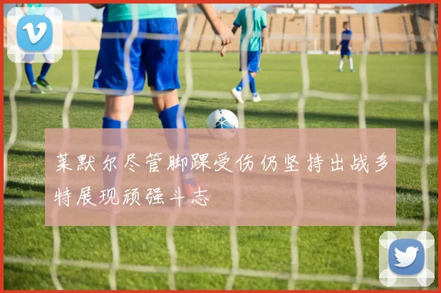 莱默尔尽管脚踝受伤仍坚持出战多特展现顽强斗志