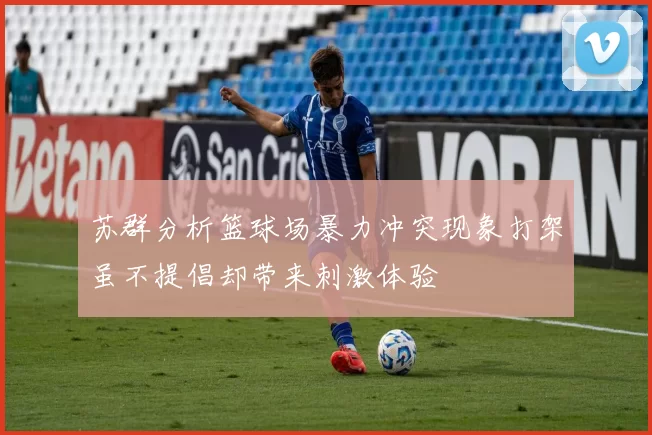 苏群分析篮球场暴力冲突现象打架虽不提倡却带来刺激体验